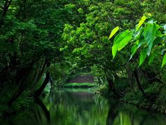 -西溪国家湿地公园