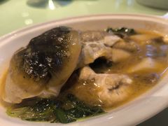 -八分饱·西津会(西津渡店)