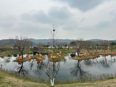 -南北湖风景区