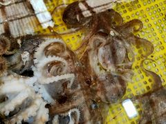 -毕家疃综合市场
