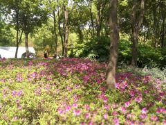 -嘉北郊野公园