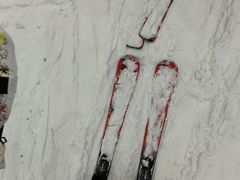 -哈尔滨热雪奇迹