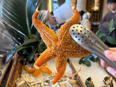 -万达瑞华酒店美食汇自助餐厅(楚河汉街店)