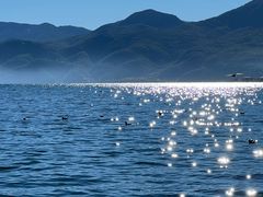 -西昌邛海湿地