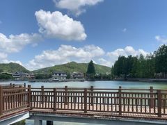 -黄贤森林公园