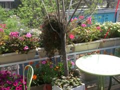 android_upload_pic-北平国际青年旅舍(南锣鼓巷店)
