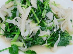 芫爆百叶-南磨房食府(燕莎奥特莱斯购物中心店)