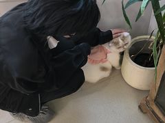 -共舞时光猫咖·狗咖(新街口店)