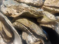 -烧蠔帮·生蚝海鲜牌档(观海店)