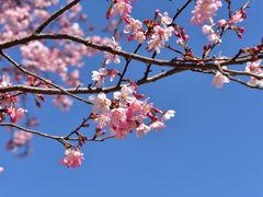 -福建鲤鱼洲酒店