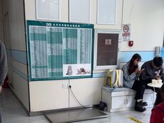 -中农国际动物医院24小时·猫科·骨科·急重症中心