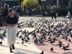 -加泰罗尼亚广场