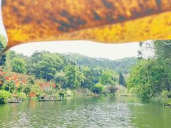 -深圳仙湖植物园