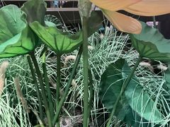 -重庆德庄火锅(映月湖环宇城店)