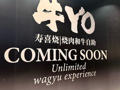 -大悦城(沈阳中街店)