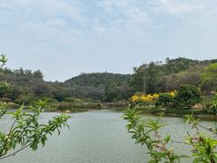 -南国桃园旅游度假区