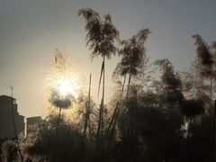 -西安汉城湖景区