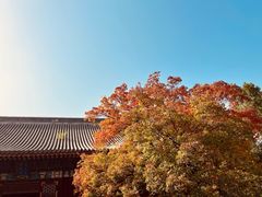 -香山公园