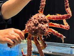 -古京·臻致料理(月湖店)