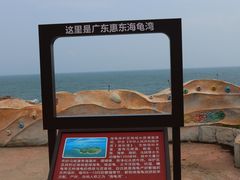 -广东惠东海龟国家级自然保护区