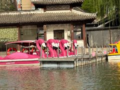 -团结湖公园
