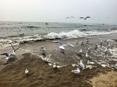 -老虎石海上公园