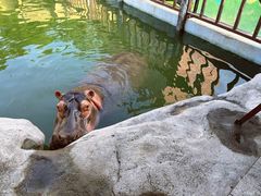 -灵玲国际马戏城