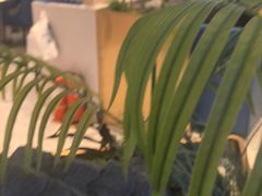 -兰湘子·湘菜小炒(天水兰天城市广场店)