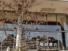 -茑屋书店(天目里店)