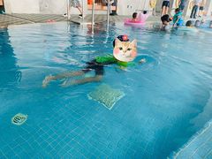 -廊坊固安福朋喜来登酒店