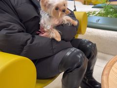 -帕帕拉兹宠物(亚洲旗舰店)