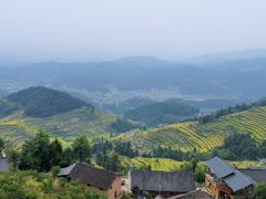 -紫鹊界梯田景区