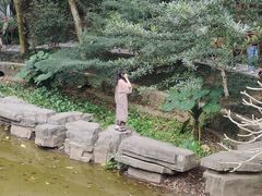 -深圳国际园林花卉博览园