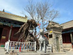 -宋太祖黄袍加身处文管所