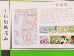 -巢湖姥山岛
