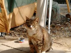 -酷鱼垂钓CLUB(朝阳区博大路店 )