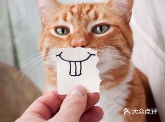 #萌宠情报局 宠物出国也要办“签证”？！