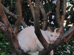 -二酉书店TOYOU BOOKS