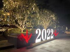 -上海浦东星河湾酒店