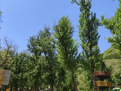 -灵溪风景区