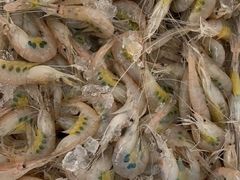 -芦潮港集贸市场