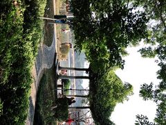-东莞植物园