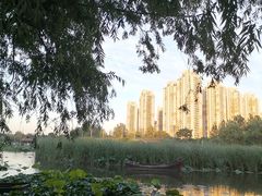 -前关湿地公园