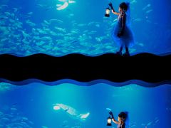 -太平洋海底世界