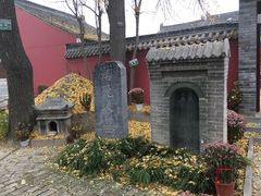 -活死人墓