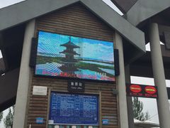 -呼兰河口湿地公园