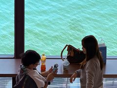 -抱抱地球咖啡馆(国家海洋博物馆店)