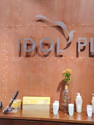 -IDOL-PLUS