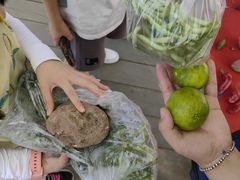 -前小桔亲子创意农场·草莓采摘·露营烧烤