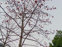 -广州雕塑公园